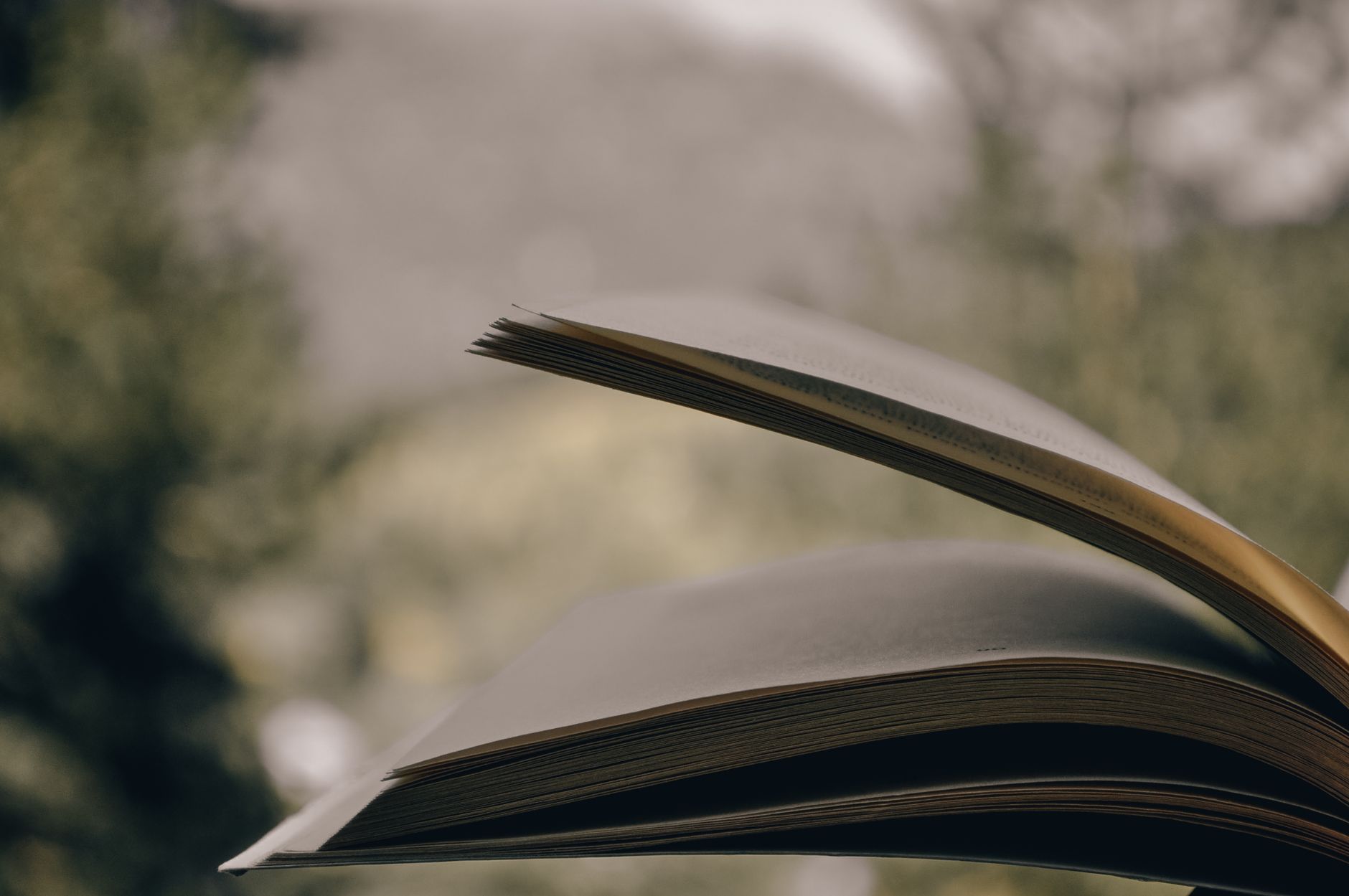 Illustration — Pourquoi écrire son histoire après avoir traversé plusieurs frontières ?