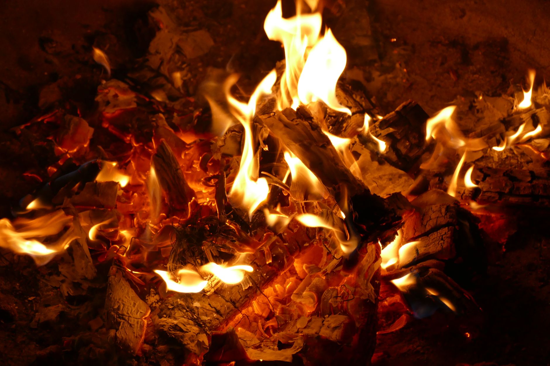 Oiseau phénix s'élevant des flammes, image archétypale de la renaissance et de la transformation